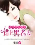 通缉警花老婆：错上黑老大